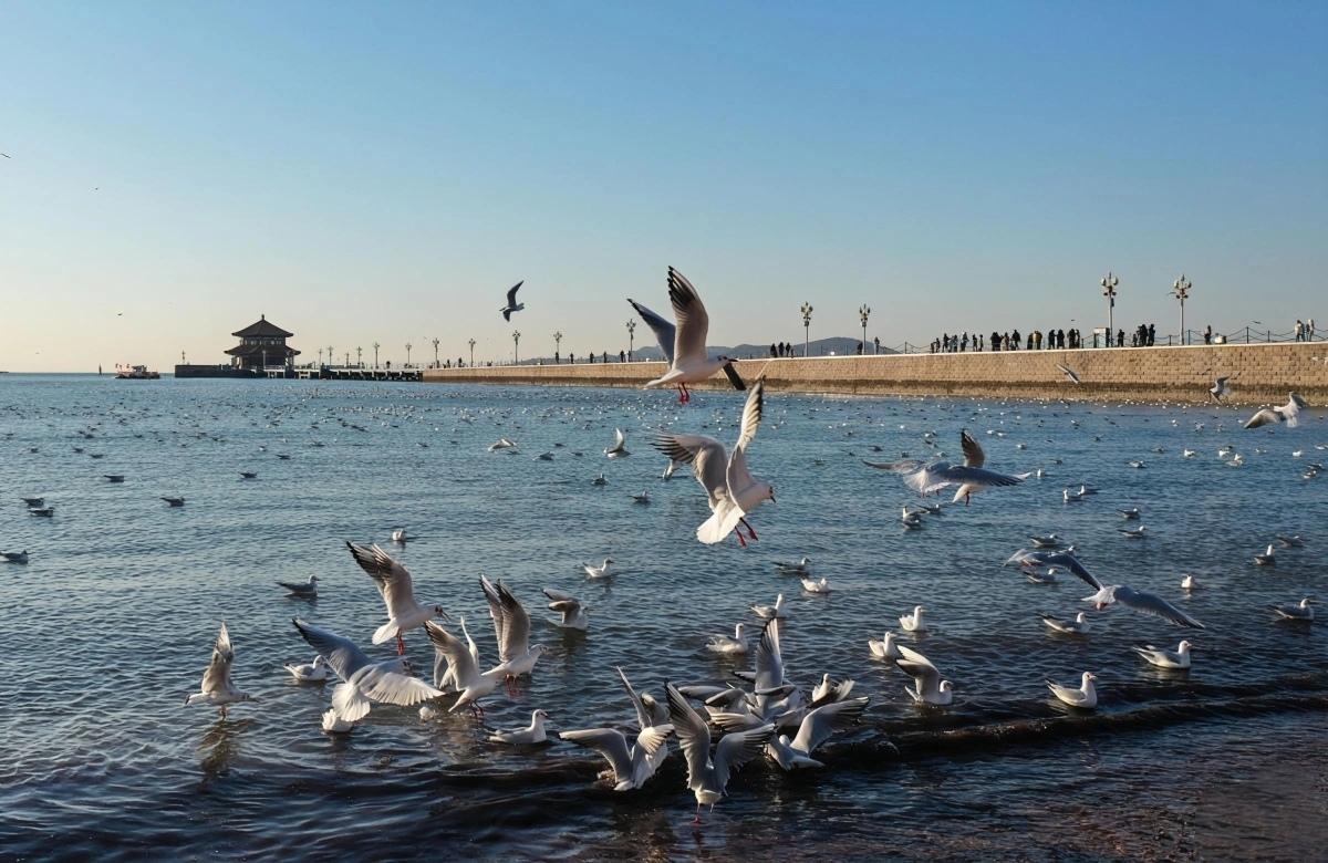 Qingdao Classic 3-Day Tour