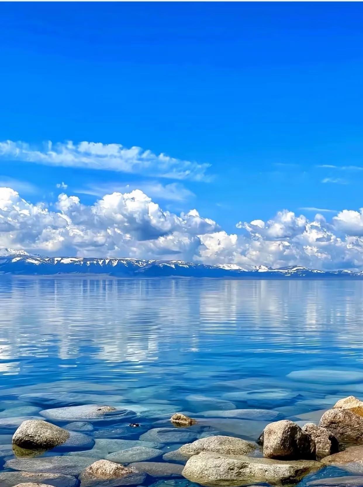 Xinjiang Tianshan Flower Sea: 8-Day Northern Loop Adventure